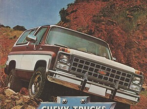 1980 Chevrolet Blazer (# 22253)