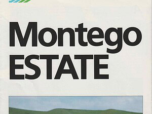 1985 Austin Rover Montego Estate (# 7447)