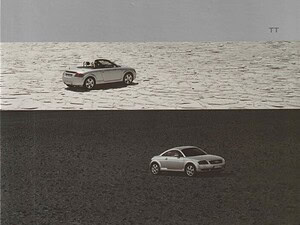 2001 Audi TT 8N Coupé / Roadster (# 15511)
