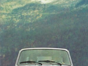 1974 Fiat 127 Special (# 1616)
