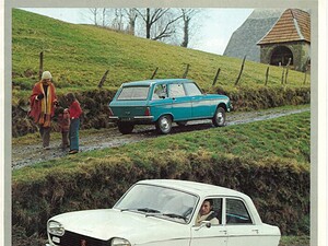 1976 Peugeot 204 (# 15163)